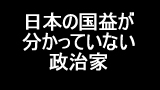 日本の国益が分かっていない政治家