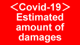 Estimated amount of damages in the world